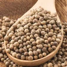 coriander seeds